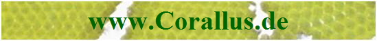 www.Corallus.de